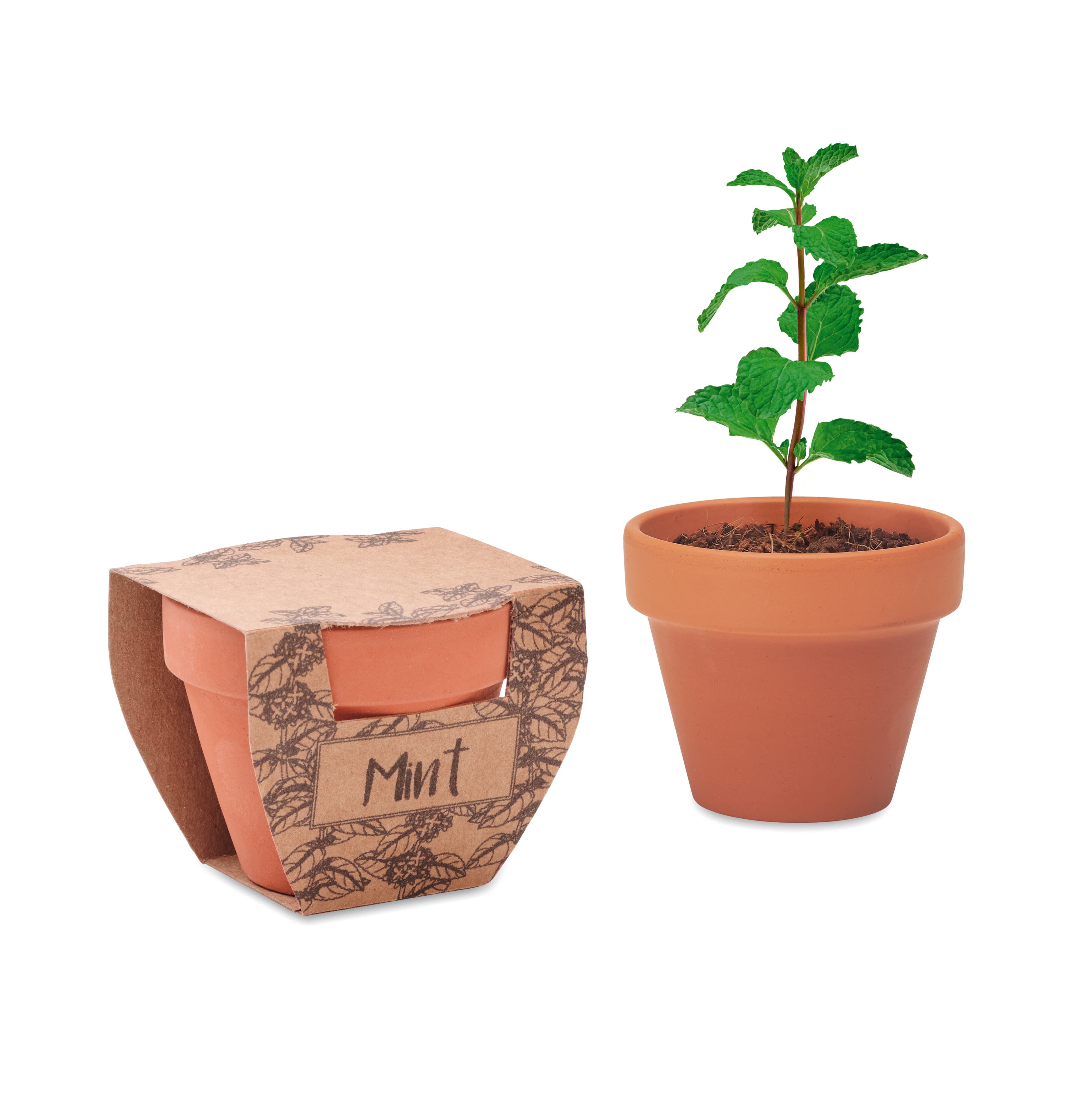 Jardinage
